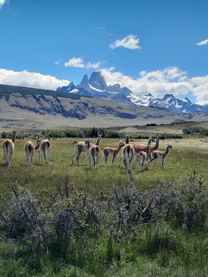 Vera Apart El Chaltén Extérieur photo